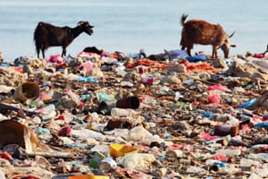 Europe sends 60% of its municipal waste to landfill or incineration